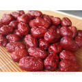 High quality organic red dates best for sale